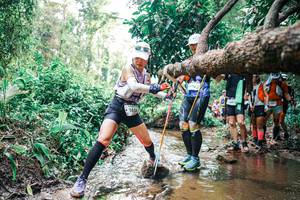 BIB: 
                            <button type="button" onclick="openModal(25374042)" class="btn btn-primary btn-sm float-right btn-popup" data-toggle="modal" data-target=".modal-high-quality">
                        <i class="fas fa-shopping-cart"></i> Add to Cart
                    </button>
                                            <button type="button" onclick="isThisMe(25374042, true)" class="btn btn-success btn-sm float-right btn-popup btn-isme hidden" data-toggle="tooltip" data-placement="bottom" title="นี่คือรูปของคุณใช่ไหม คลิกที่นี่เพื่อเอาเข้าอัลบั้ม">
                        <i class="fas fa-plus"></i> Add to album
                    </button>
                    <button type="button" onclick="isThisMe(25374042, false)" class="btn btn-warning btn-sm float-right btn-popup btn-isnotme hidden">
                        <i class="fas fa-ban"></i> Remove from album
                    </button>